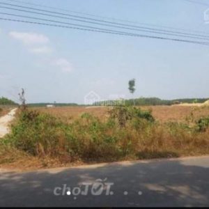 Bán đất Bàu Bàng sát KDC Nam Long chỉ với 285tr